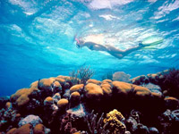 barrier reef